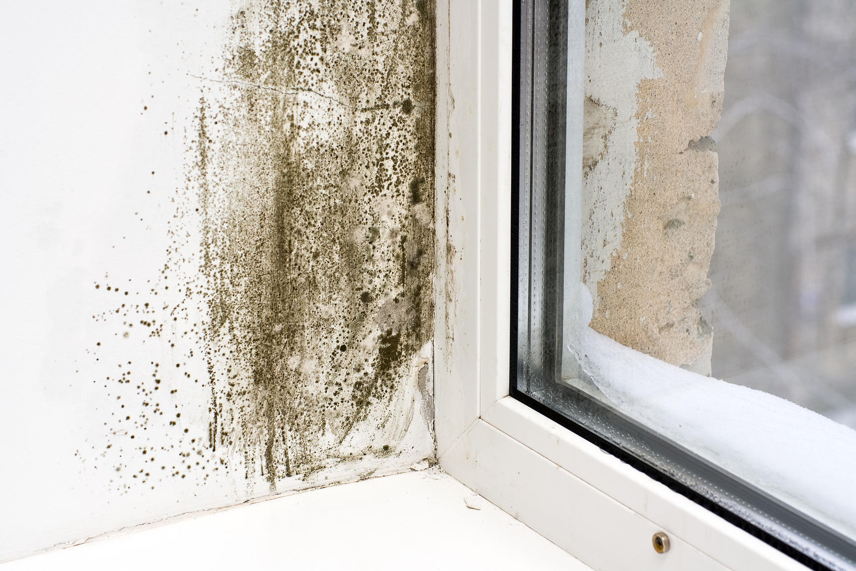 Mold in the Air:  5 Tips to Help Control it