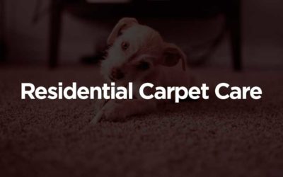 Residential Carpet Care