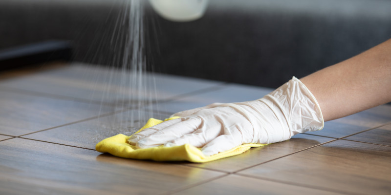Professional House Cleaning Services in Chapel Hill, North Carolina